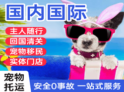阿荣航空邮寄国际宠物托运 【国